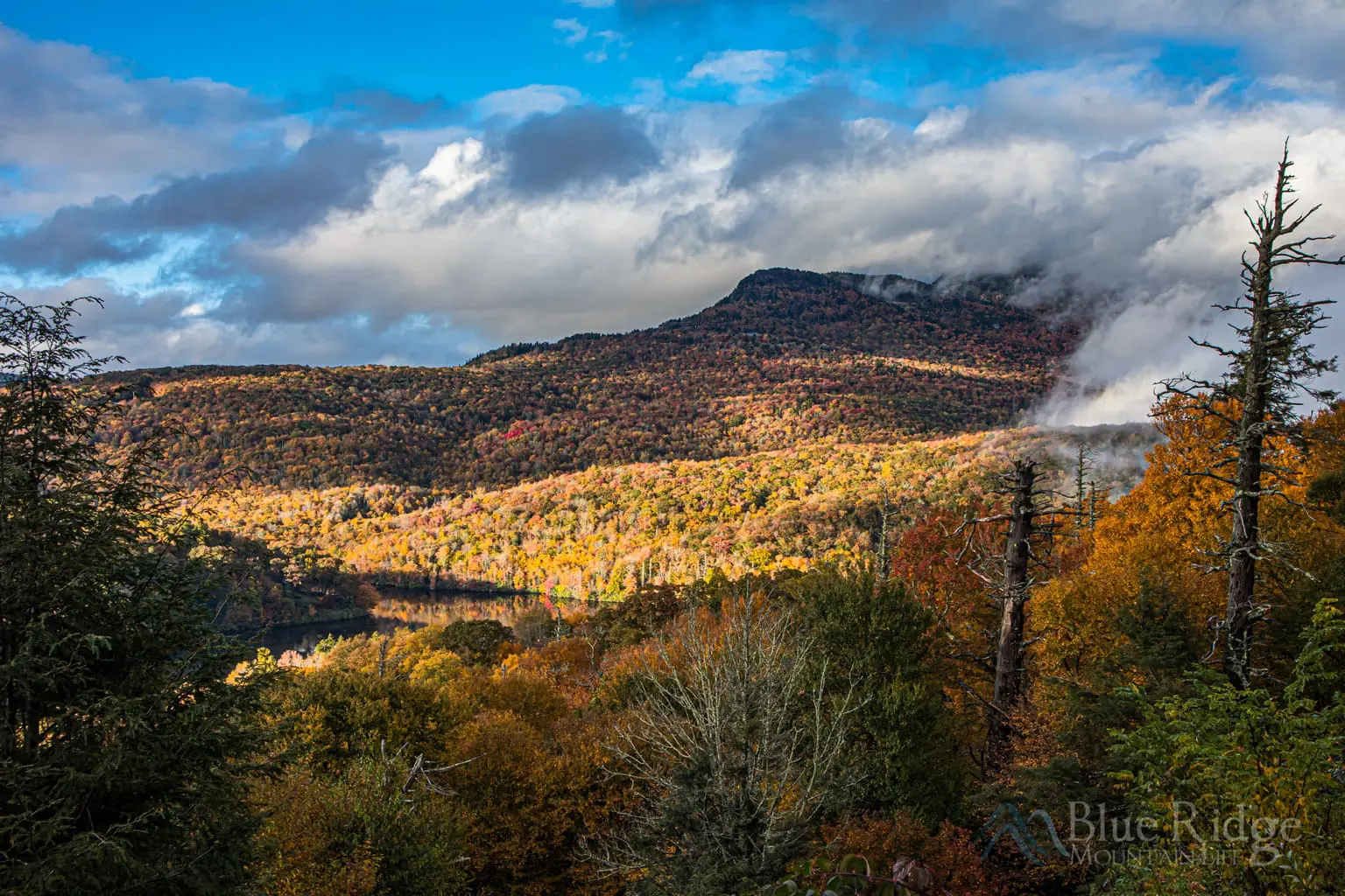 Pisgah National Forest