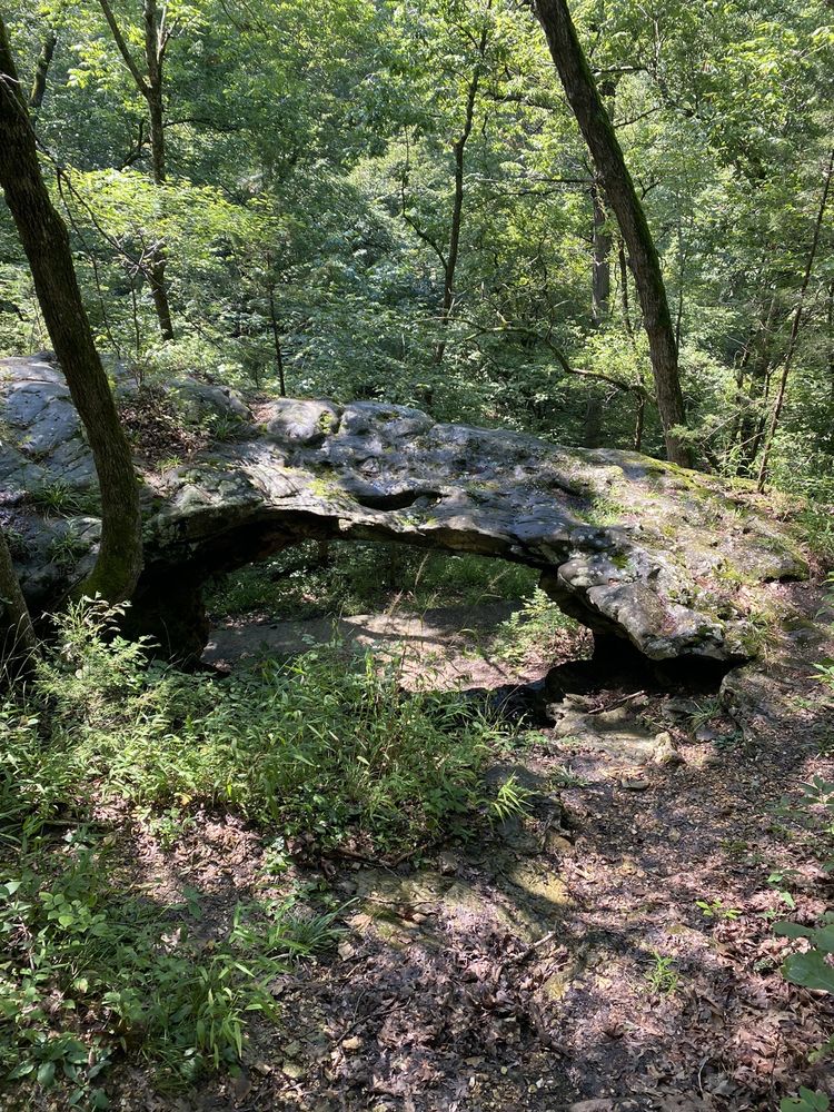 Pivot Rock and Natural Bridge