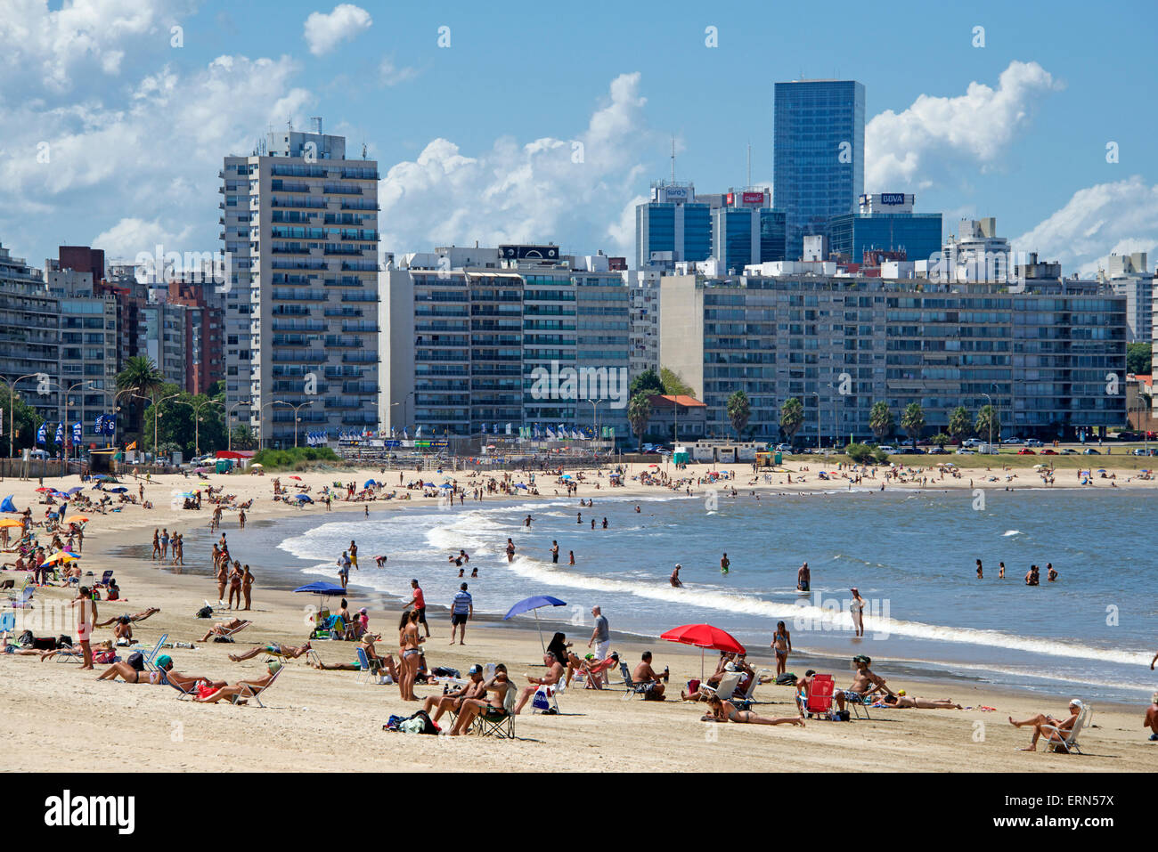 Playa Pocitos