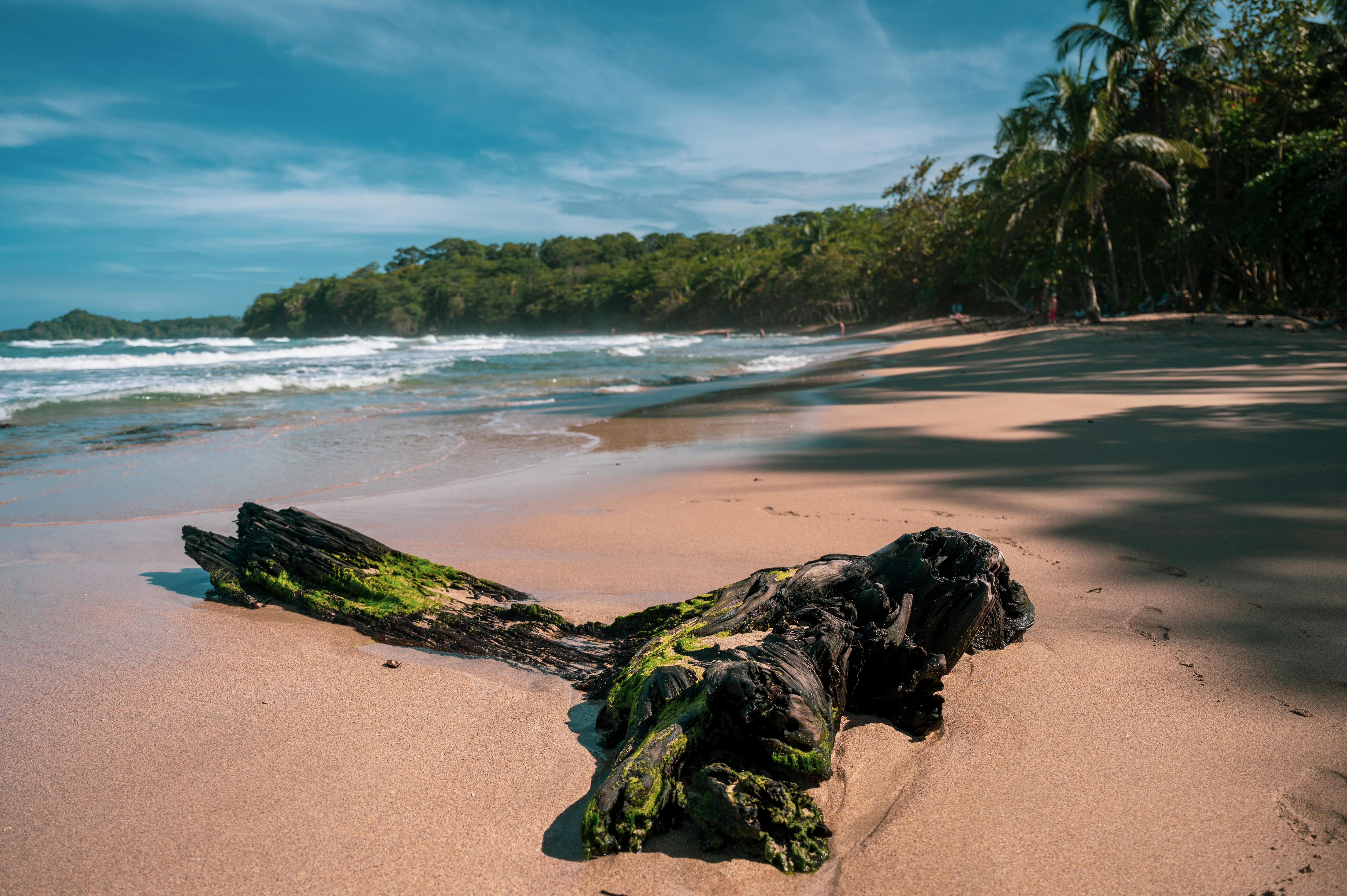 Playa Punta Uva