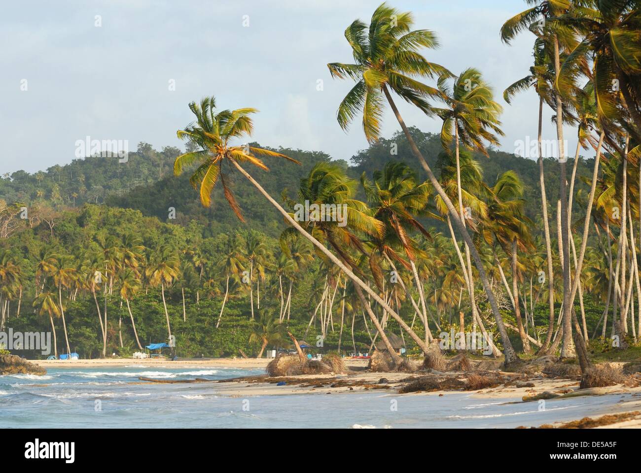 Playa Rincon