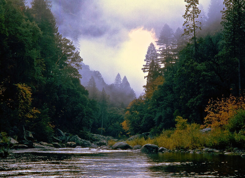 Plumas National Forest