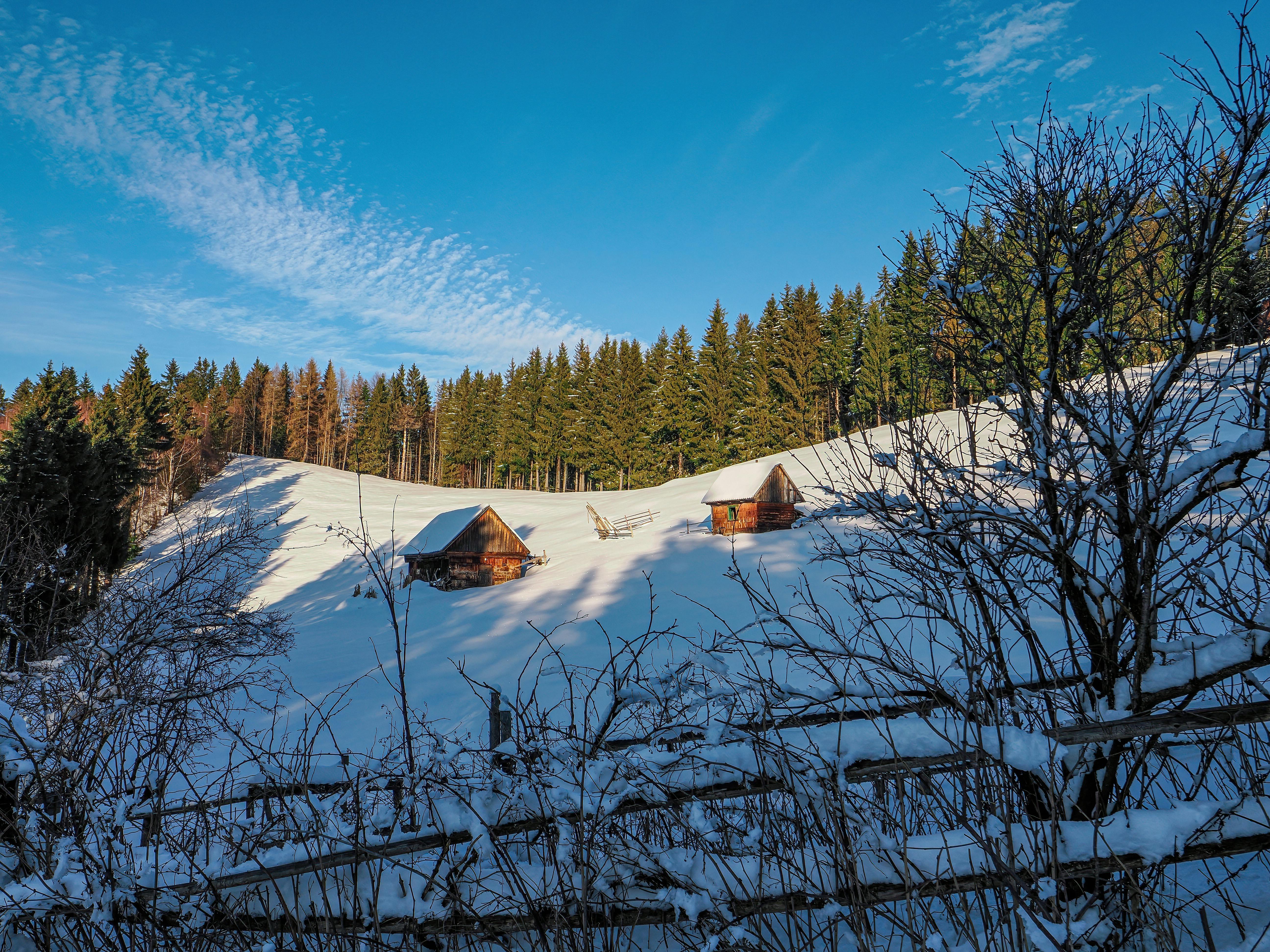 Poiana Brasov