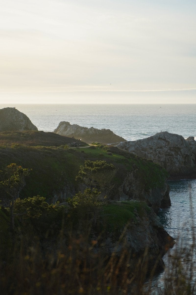 Point Lobos State Natural Reserve