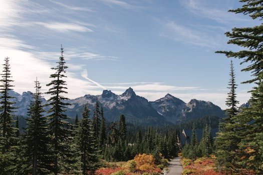 Point Washington State Forest