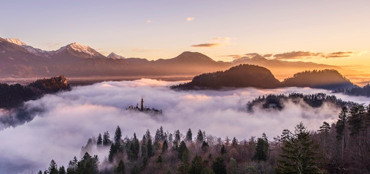 Pokljuka Plateau