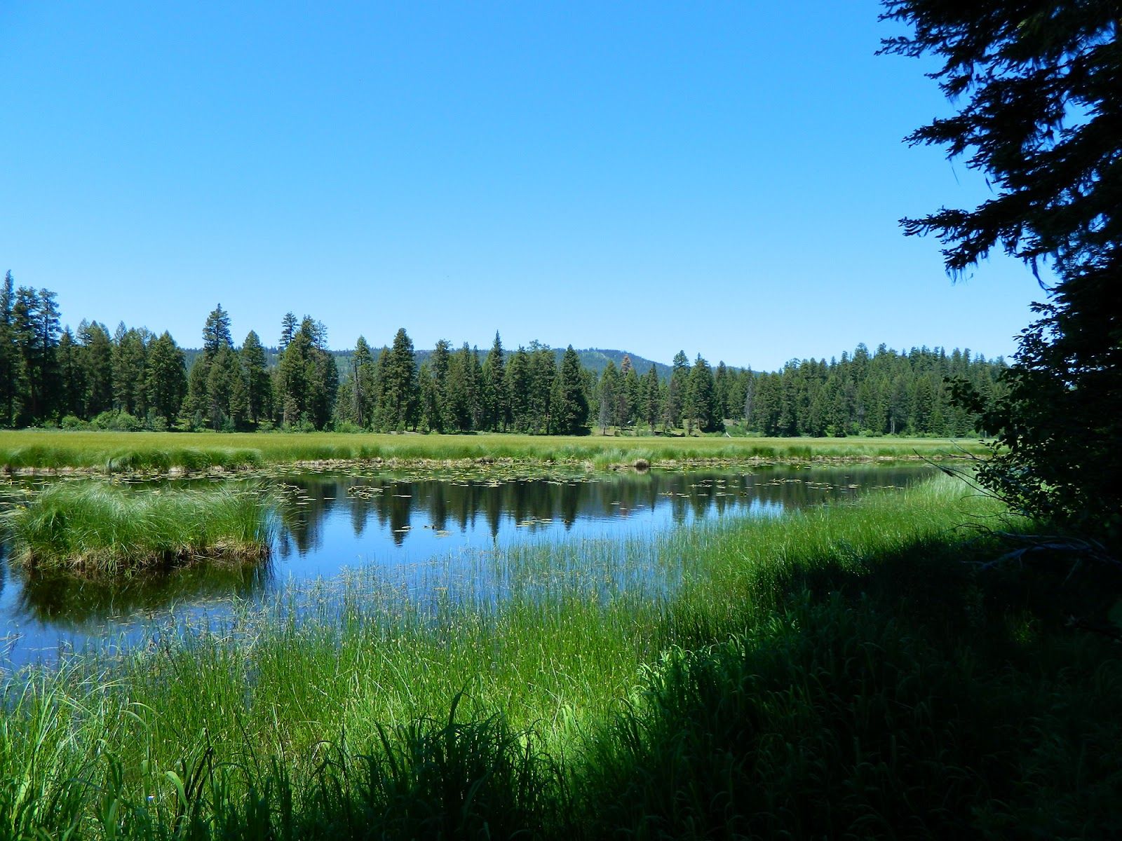 Ponderosa State Park