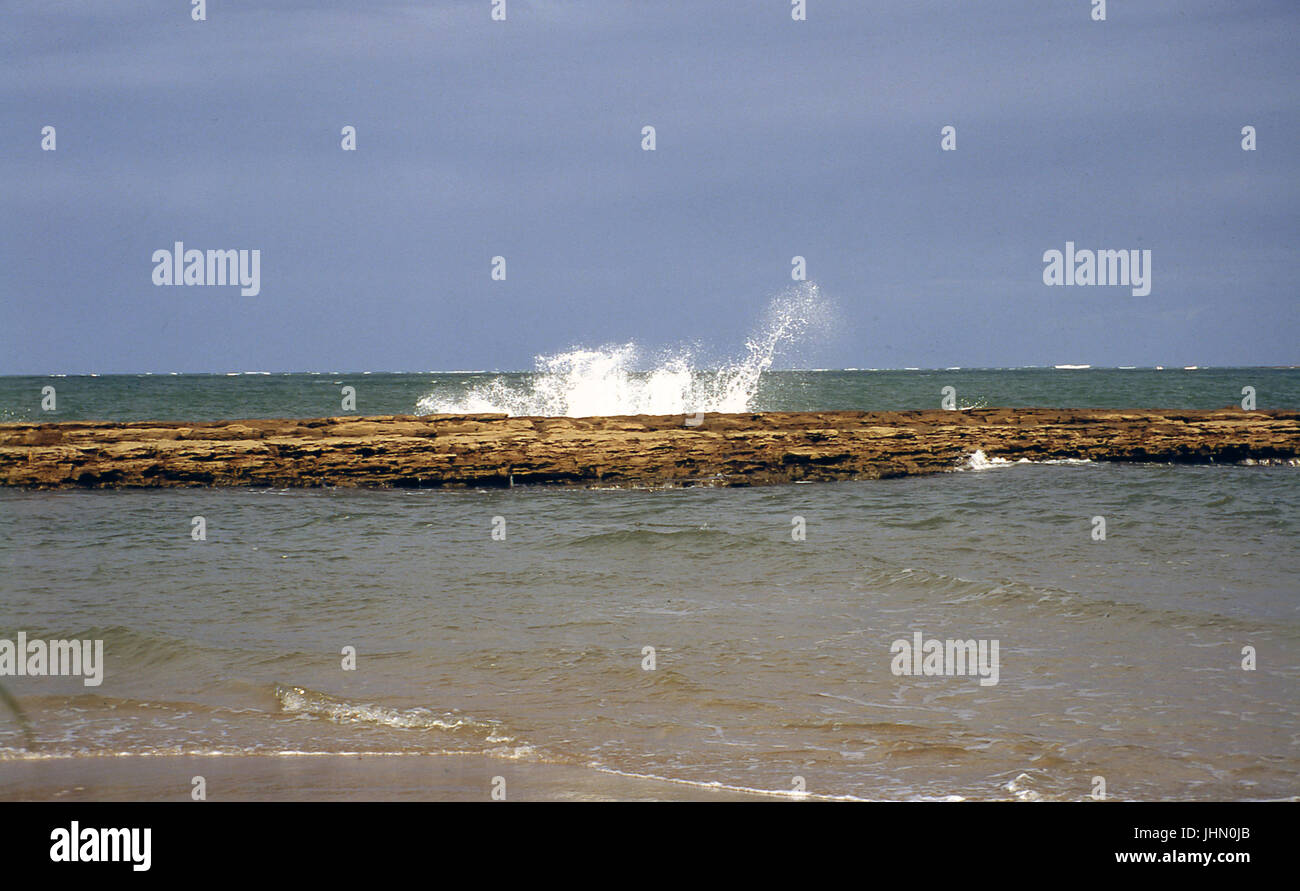 Ponta de Serrambi