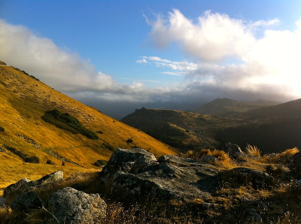 Port Hills