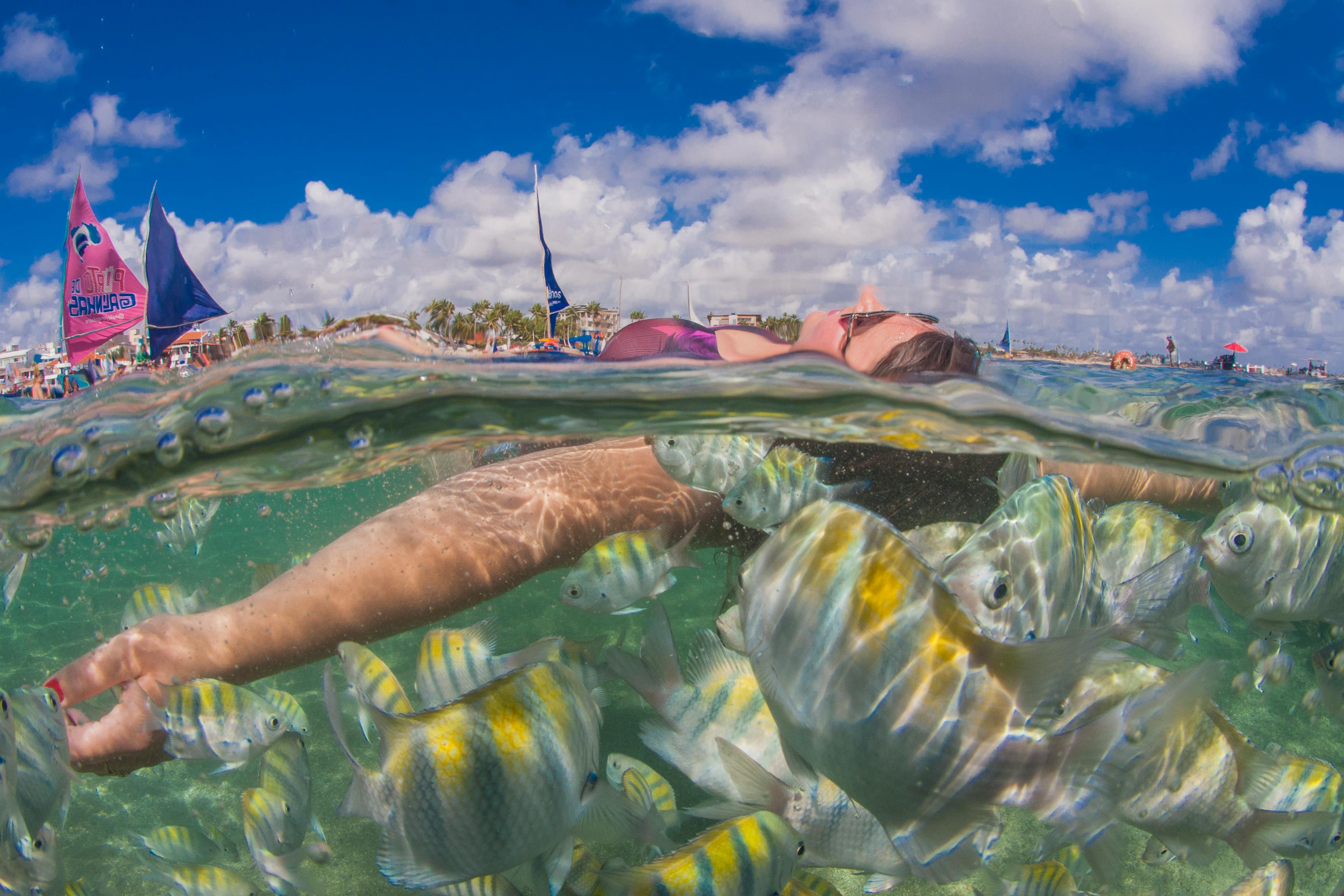 Porto de Galinhas Fish Market