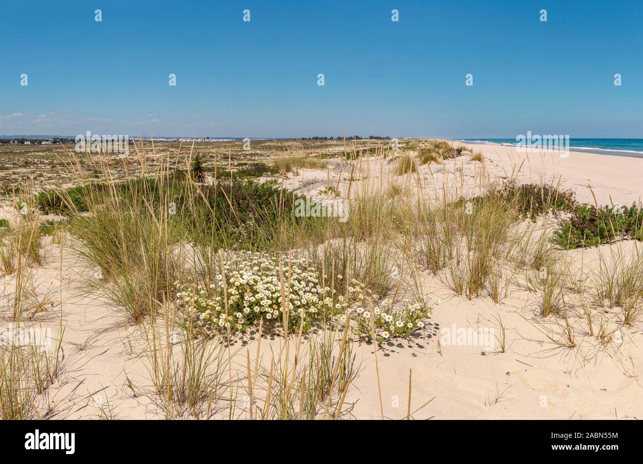 Praia do Barril