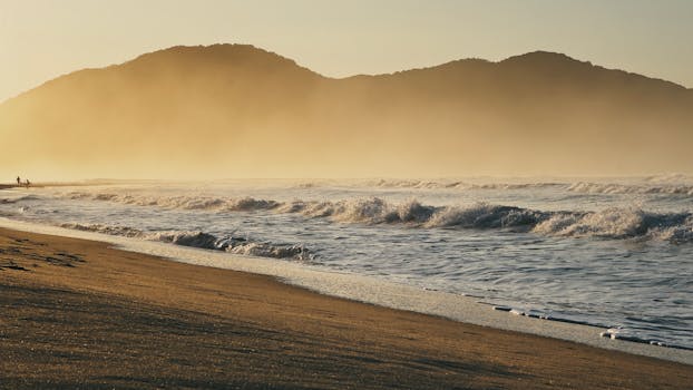 Praia do Cedro