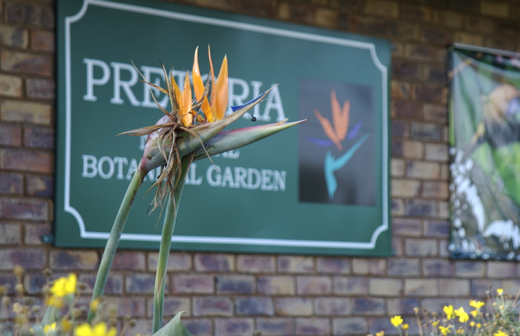 Pretoria National Botanical Garden