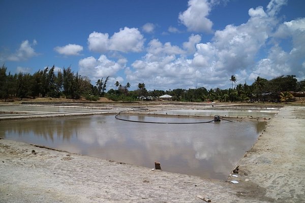 Pujini Ruins