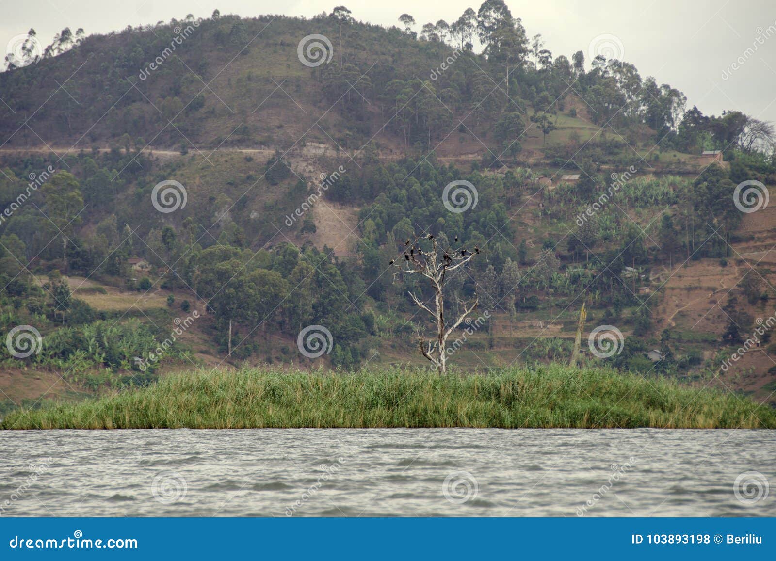 Punishment Island