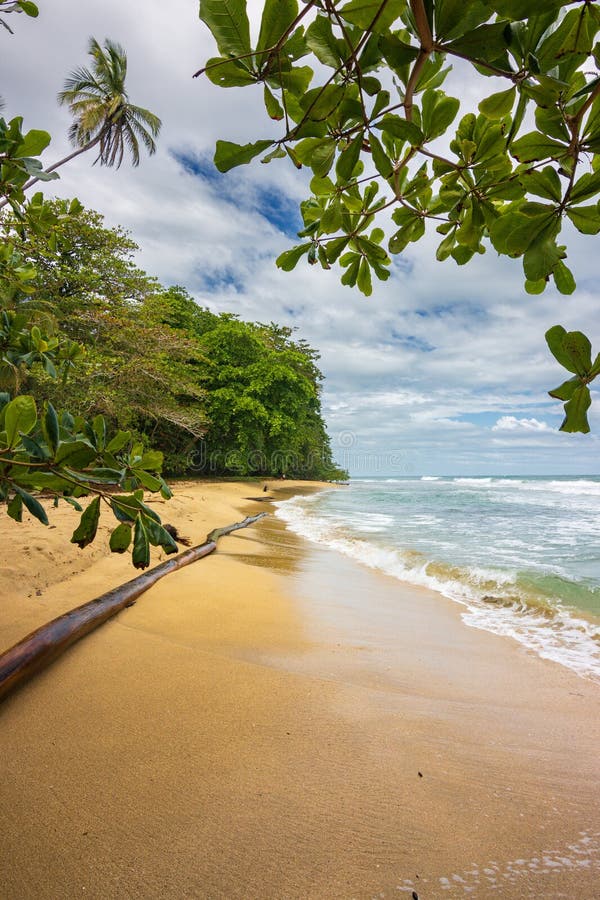 Punta Uva Beach