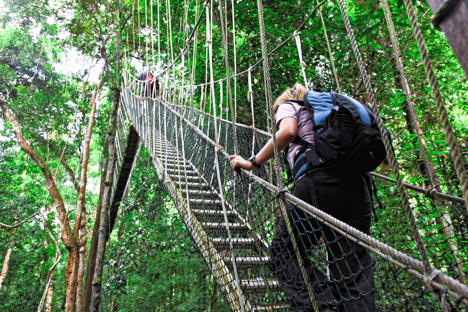 Pura Aventura Canopy Tour