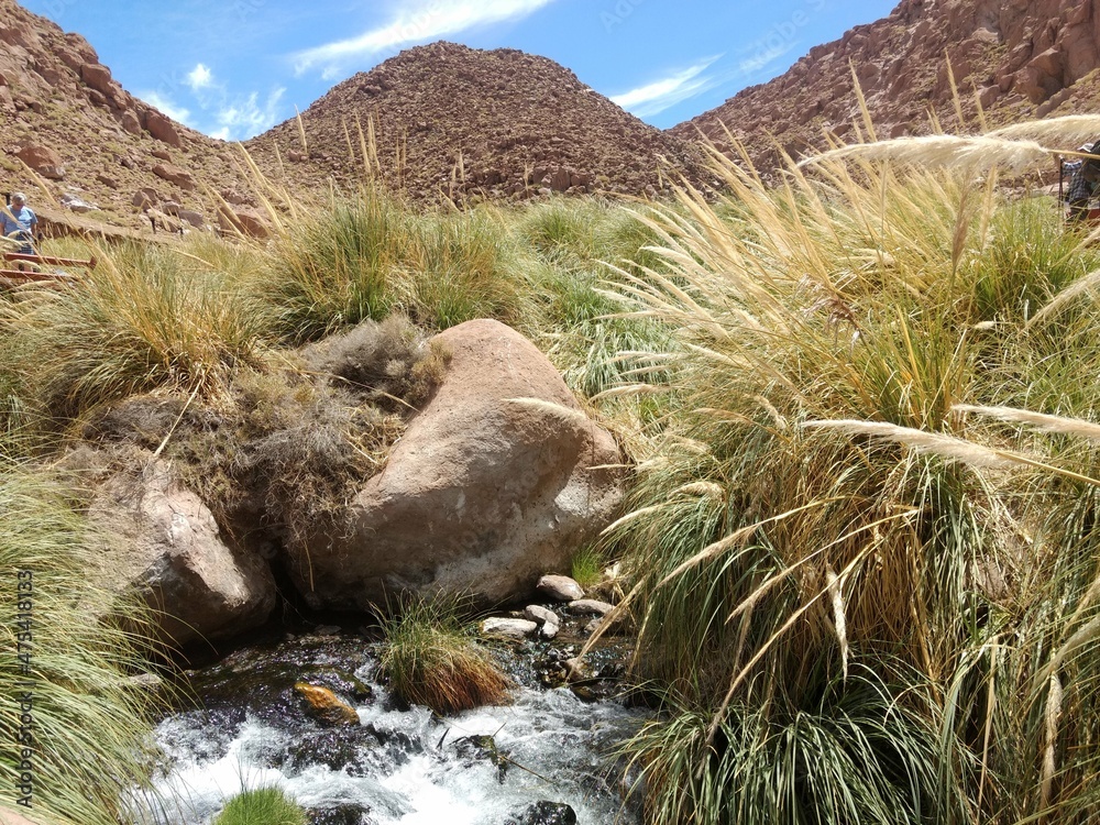 Puritama Hot Springs