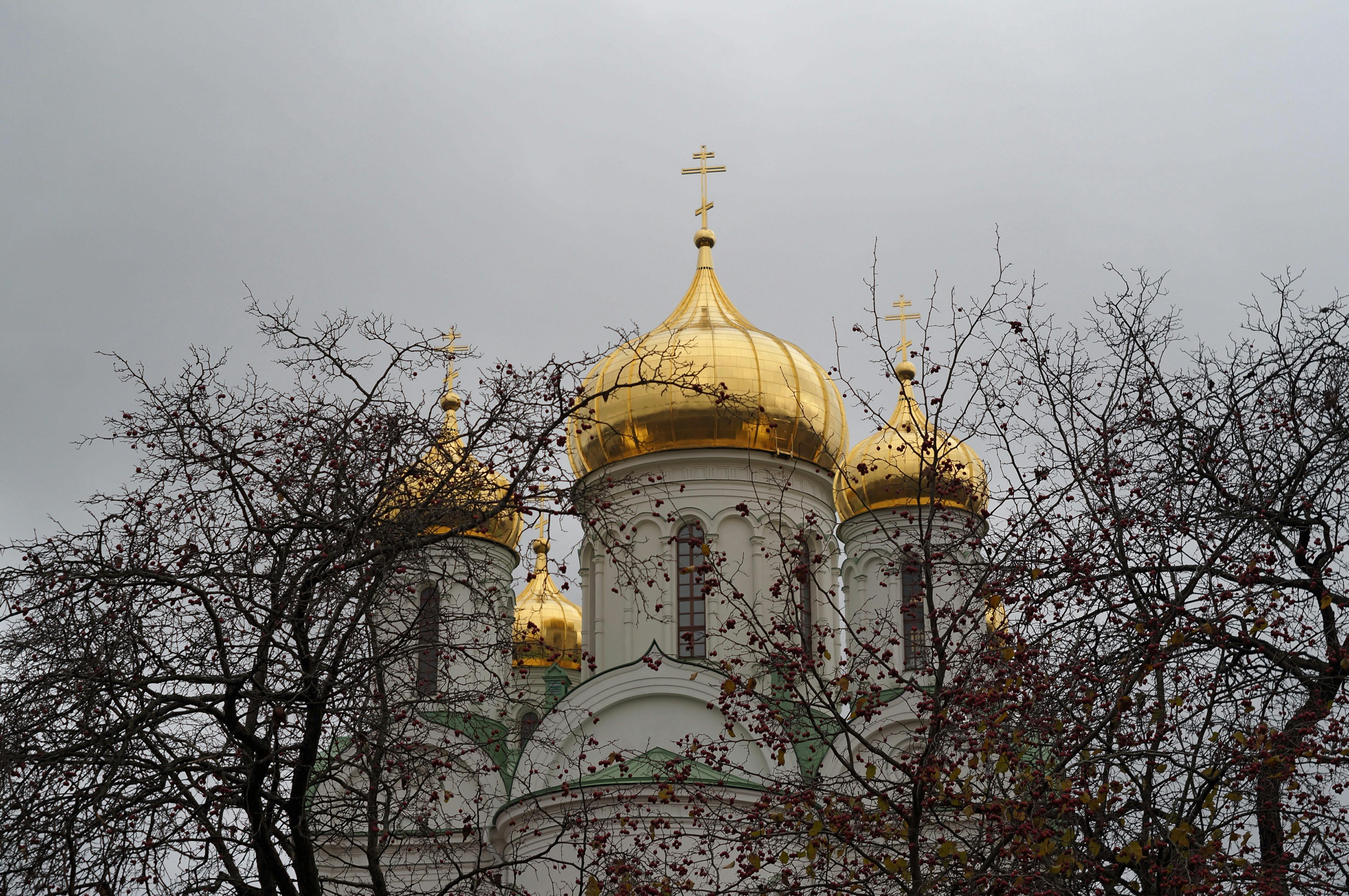 Pushkin Market