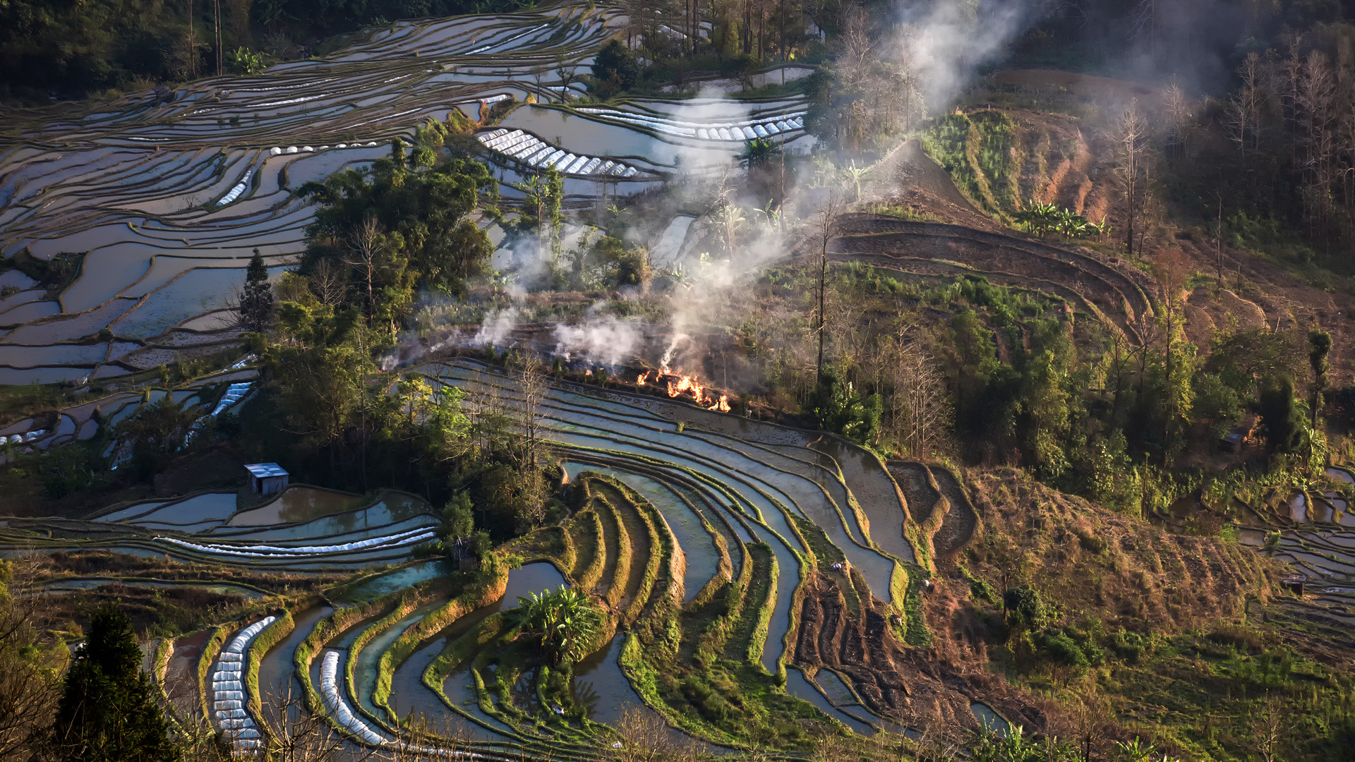 Qingkou Hani Ethnic Village