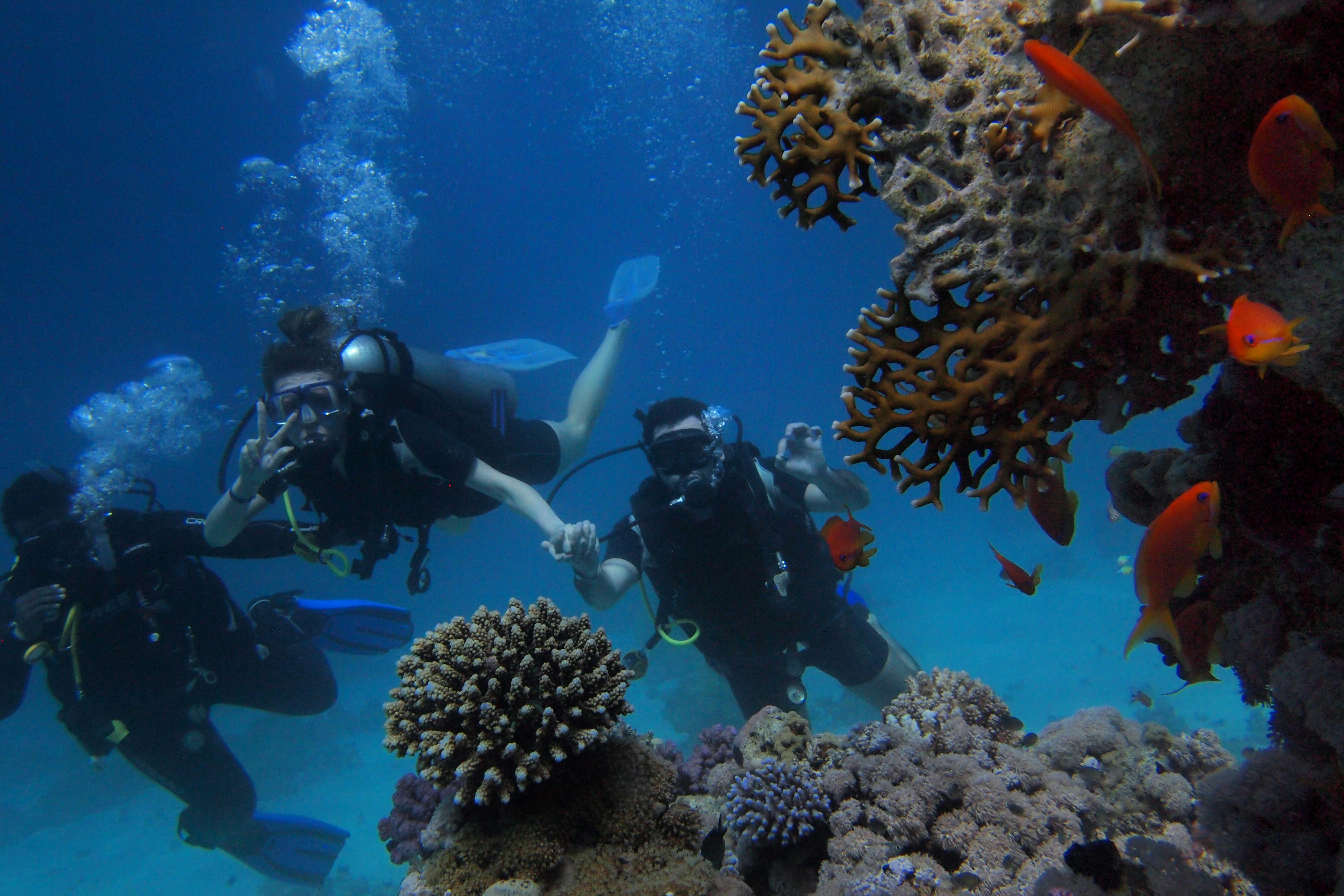 Rabaul Dive Adventures