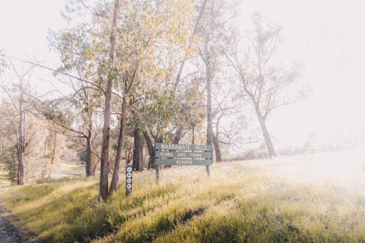 Rainbow Valley Conservation Reserve