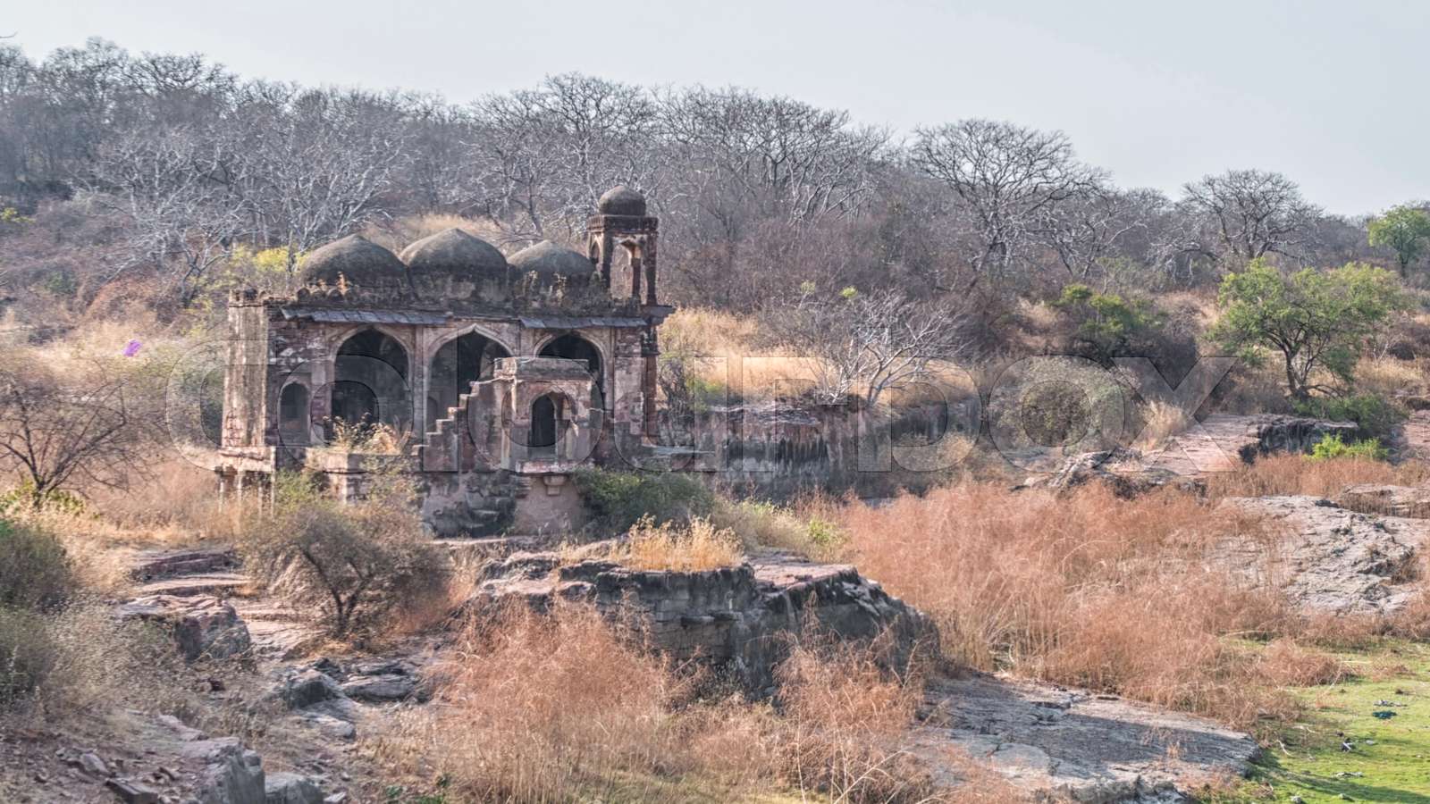 Raj Bagh Ruins