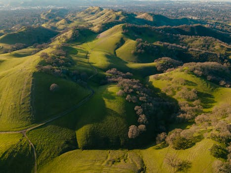 Ramona Grasslands Preserve