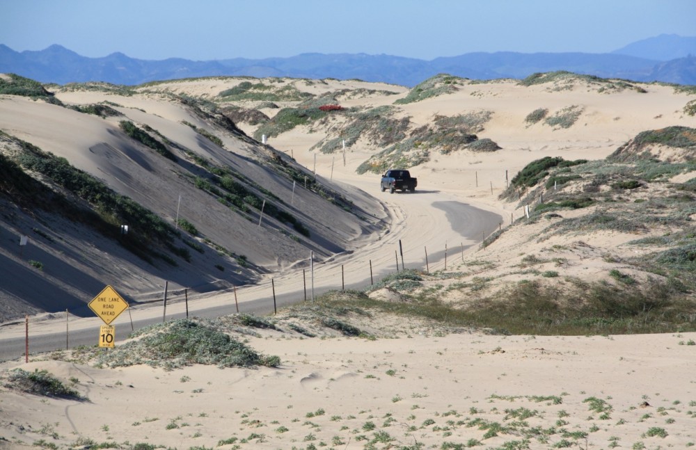 Rancho Guadalupe Dunes Preserve