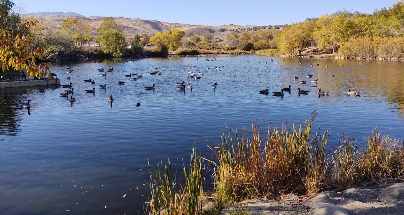 Rancho San Rafael Regional Park