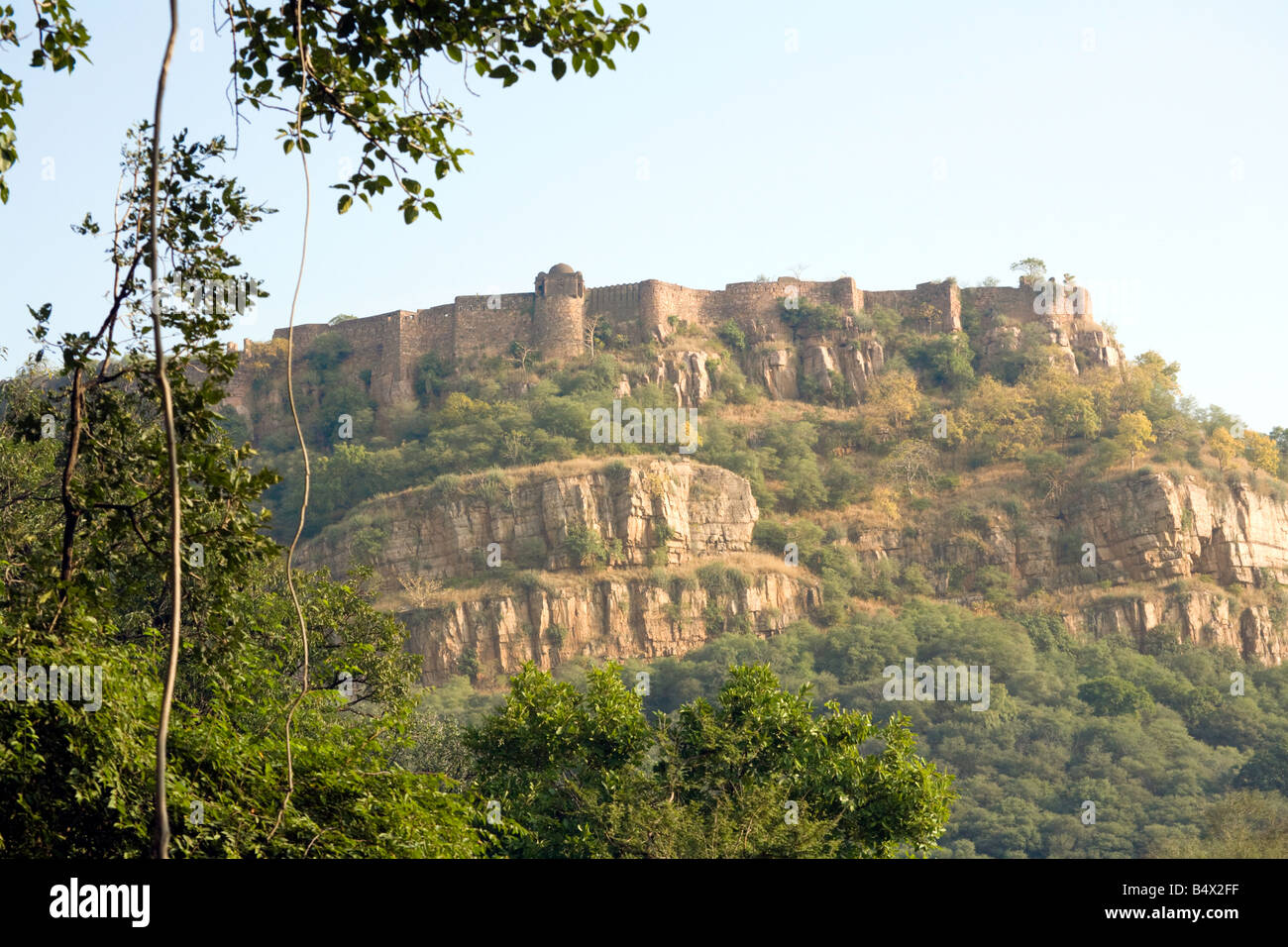 Ranthambore Fort