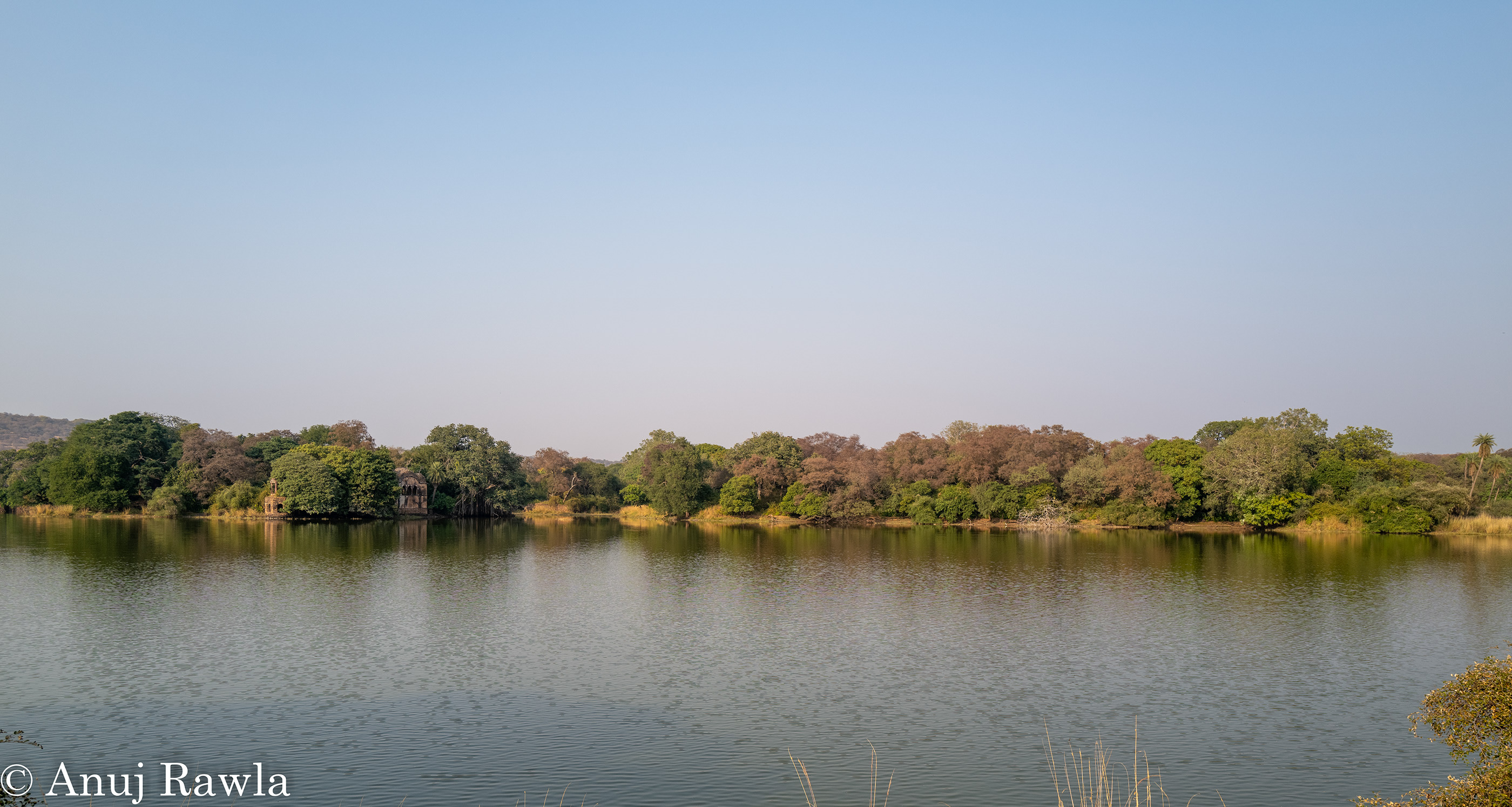 Ranthambore School of Art