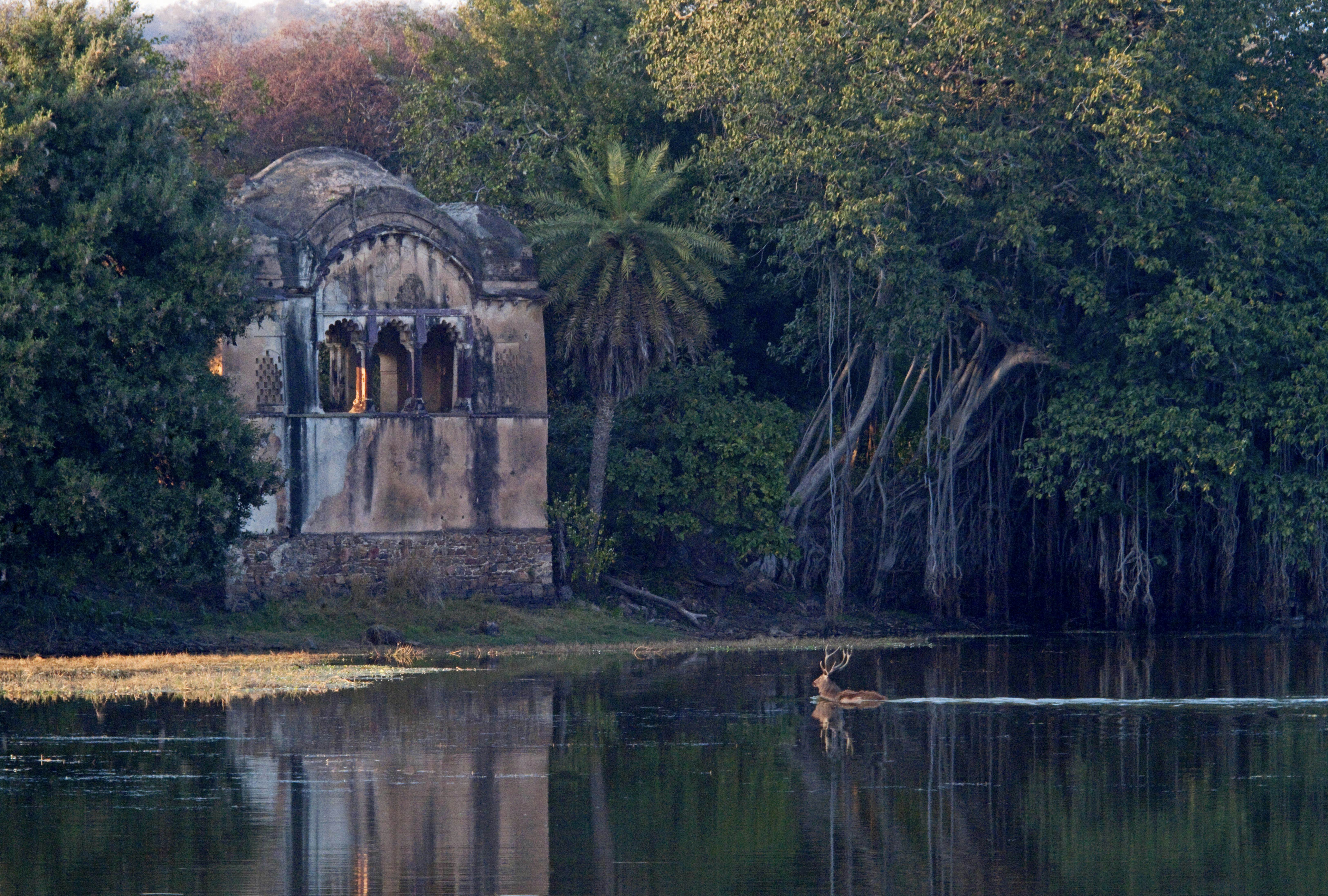 Ranthambore School of Jewelry