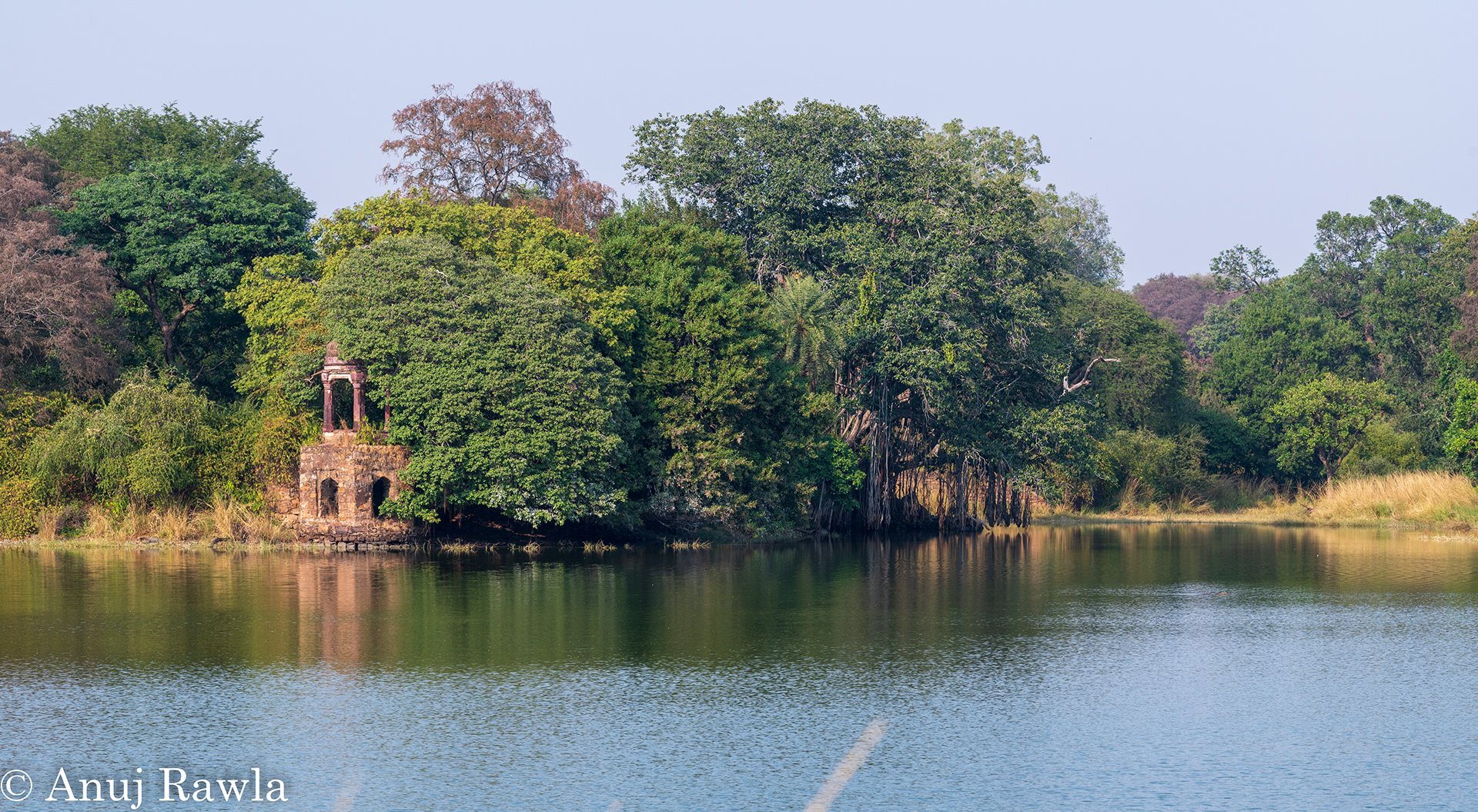 Ranthambore School of Music