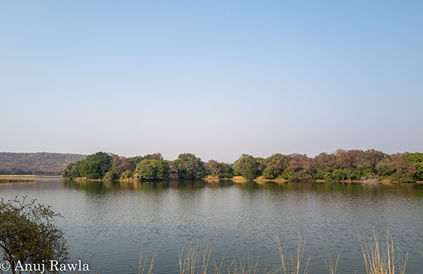 Ranthambore School of Yoga