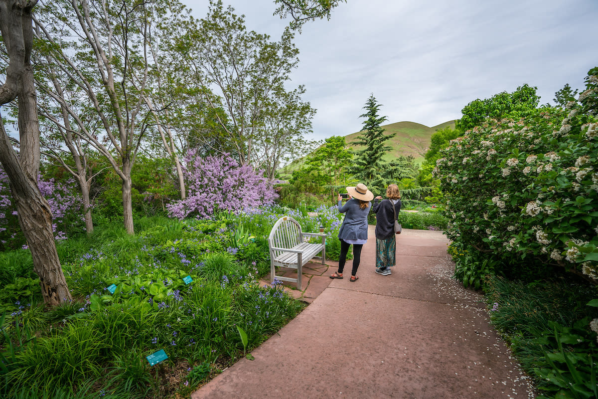 Red Butte Garden