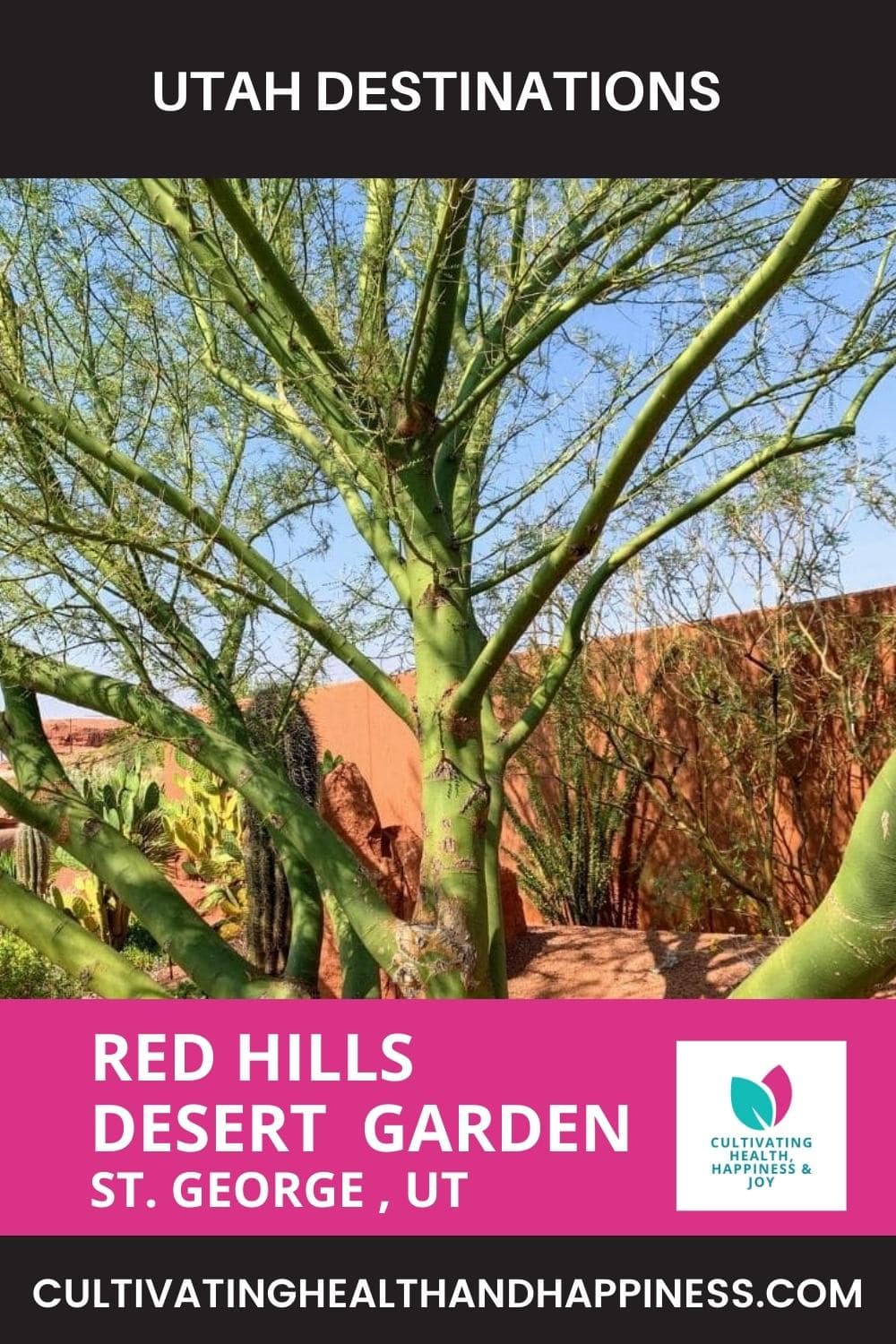 Red Hills Desert Garden