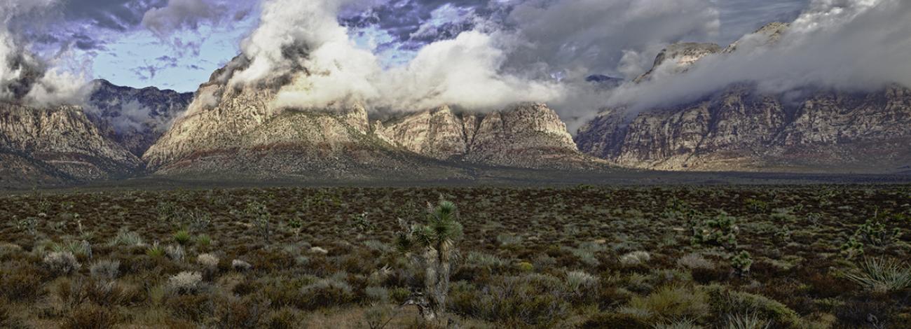 Red Rock Canyon National Conservation Area