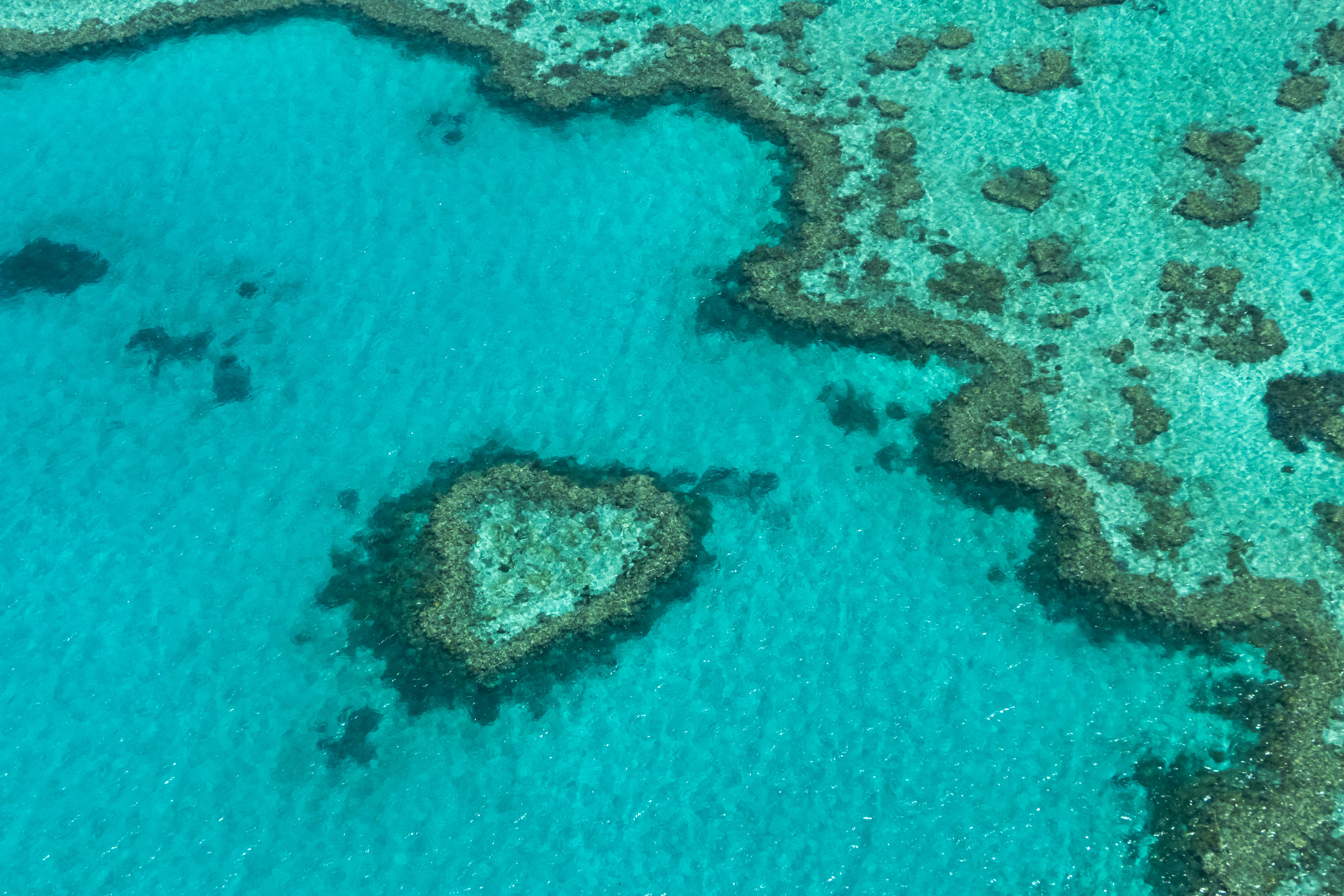 Reef HQ Great Barrier Reef Aquarium