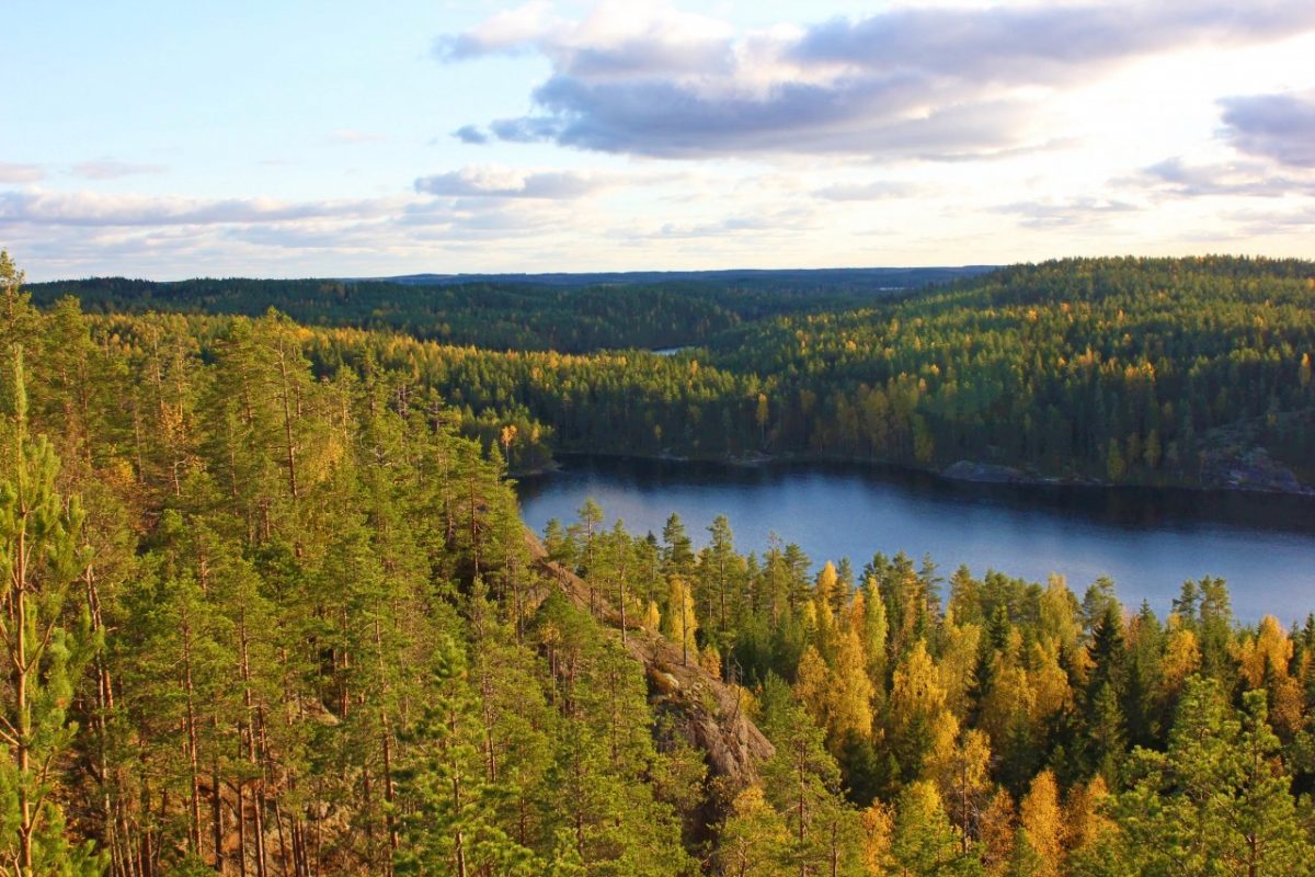 Repovesi National Park