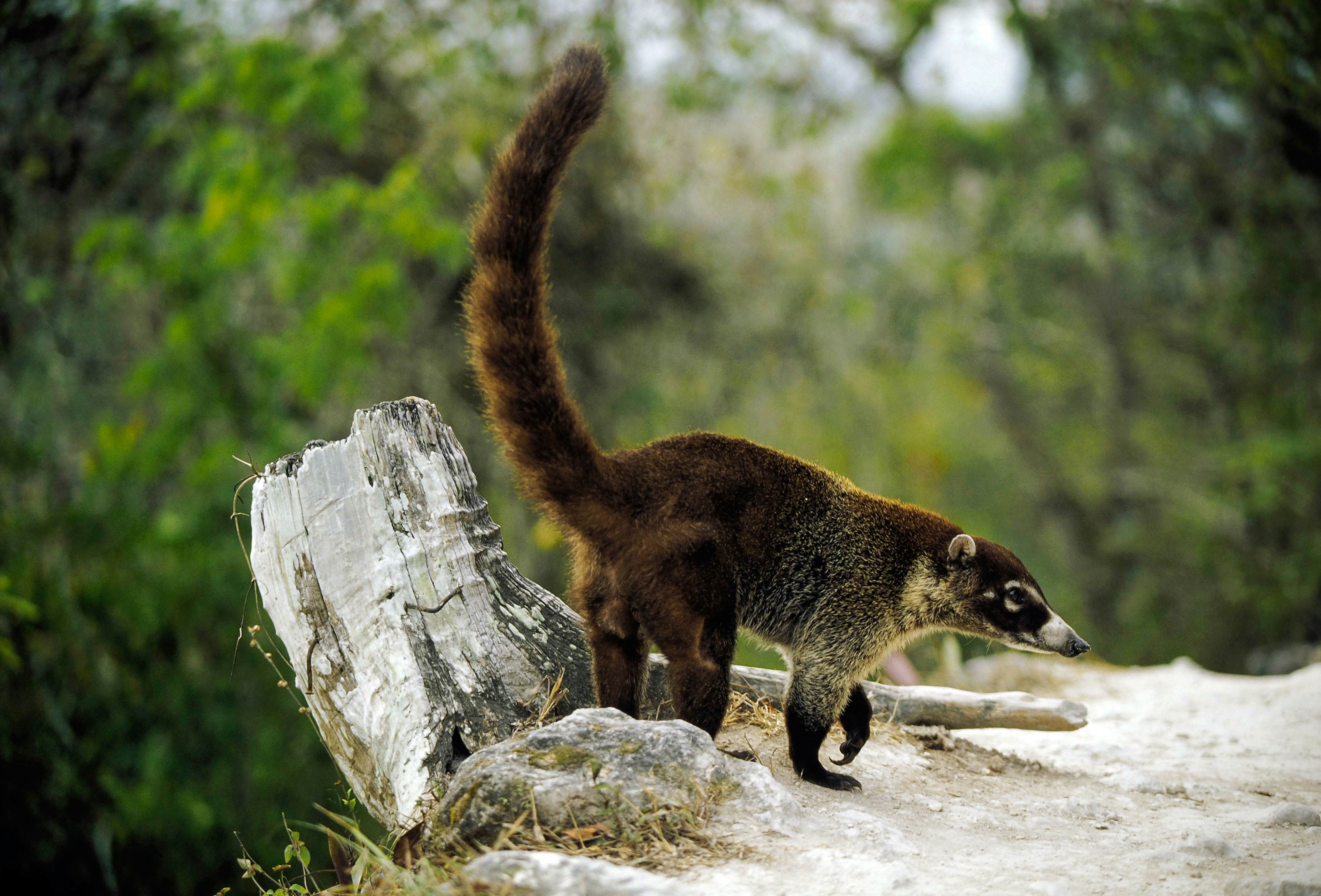 Reserva Natural Atitlán