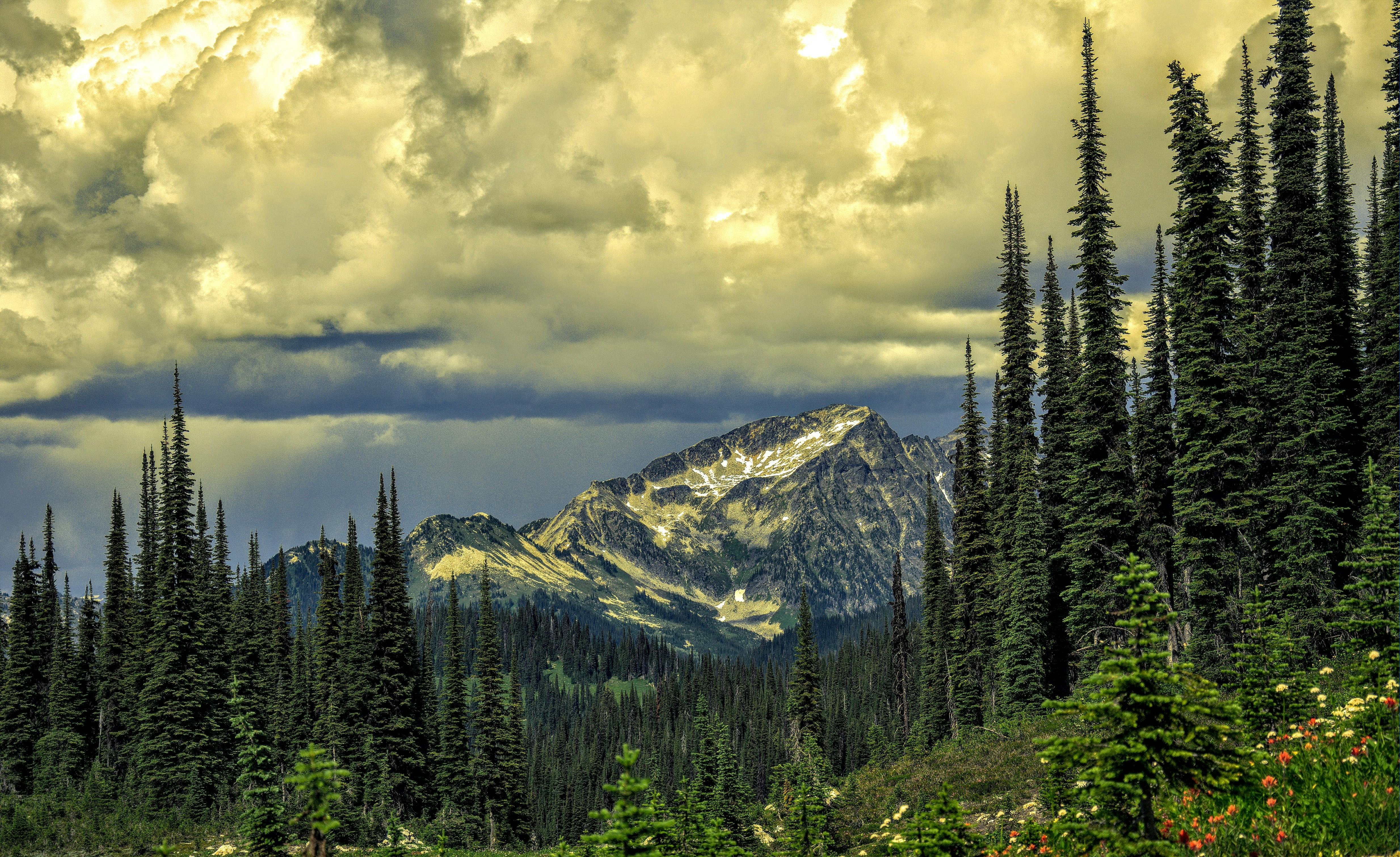 Revelstoke Dam