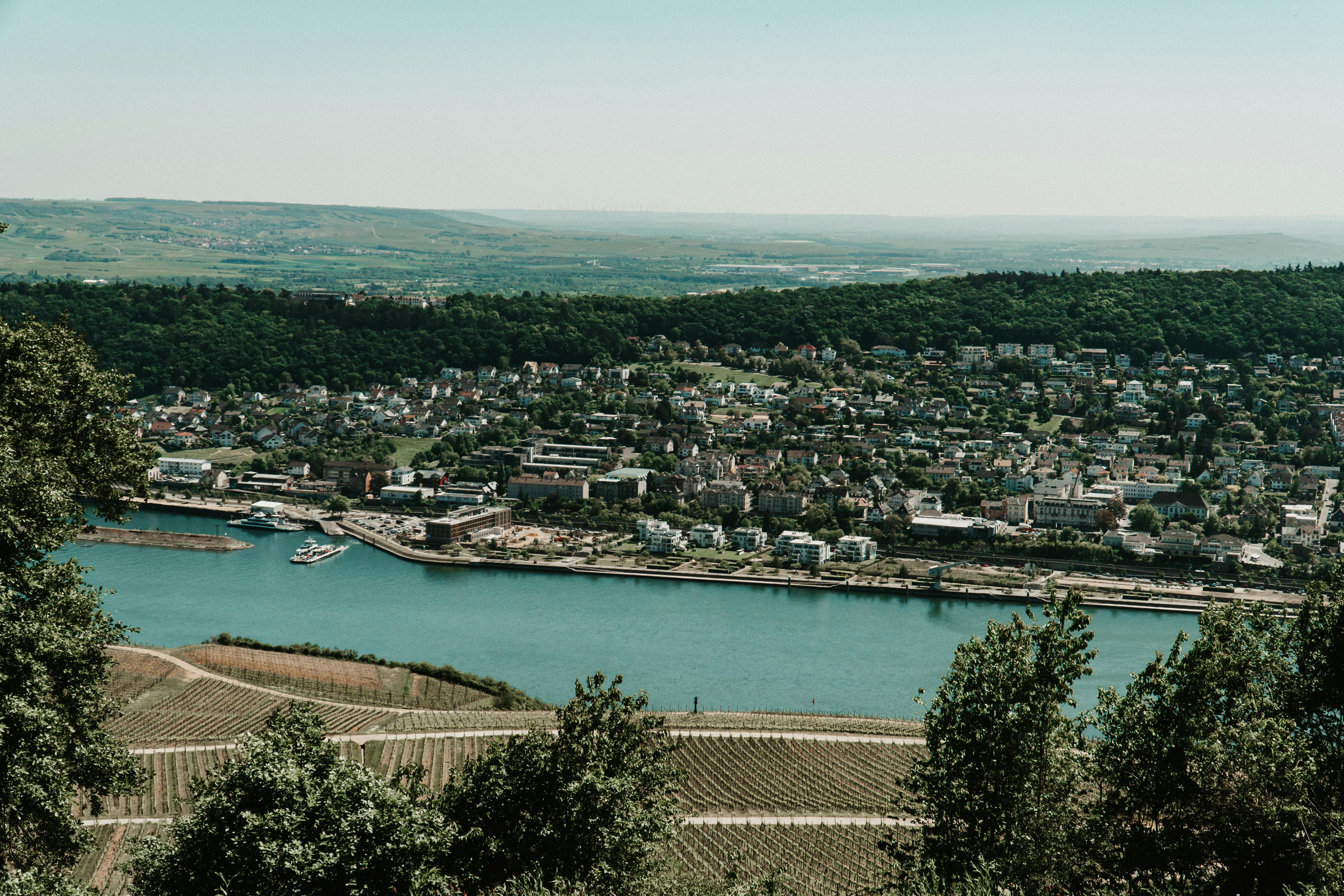 Rheingau Wine Museum