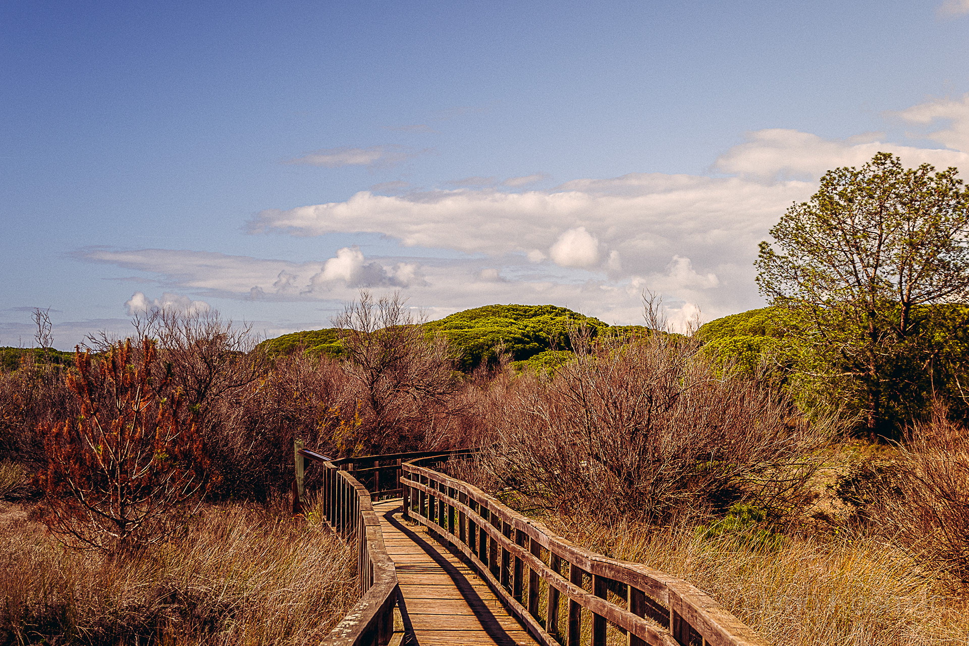 Ria Formosa Natural Park