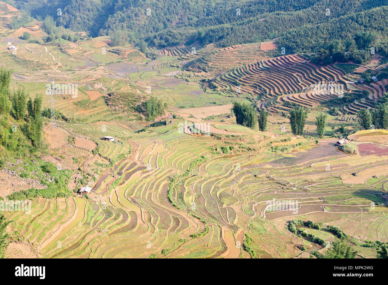 Rice Terraces