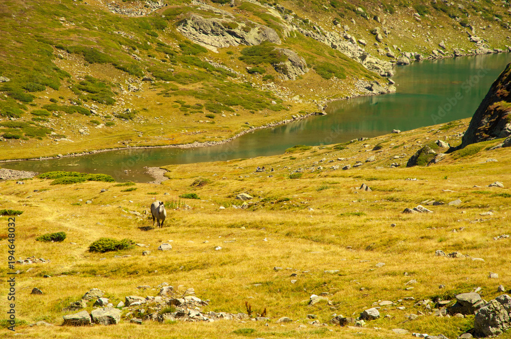 Rila National Park