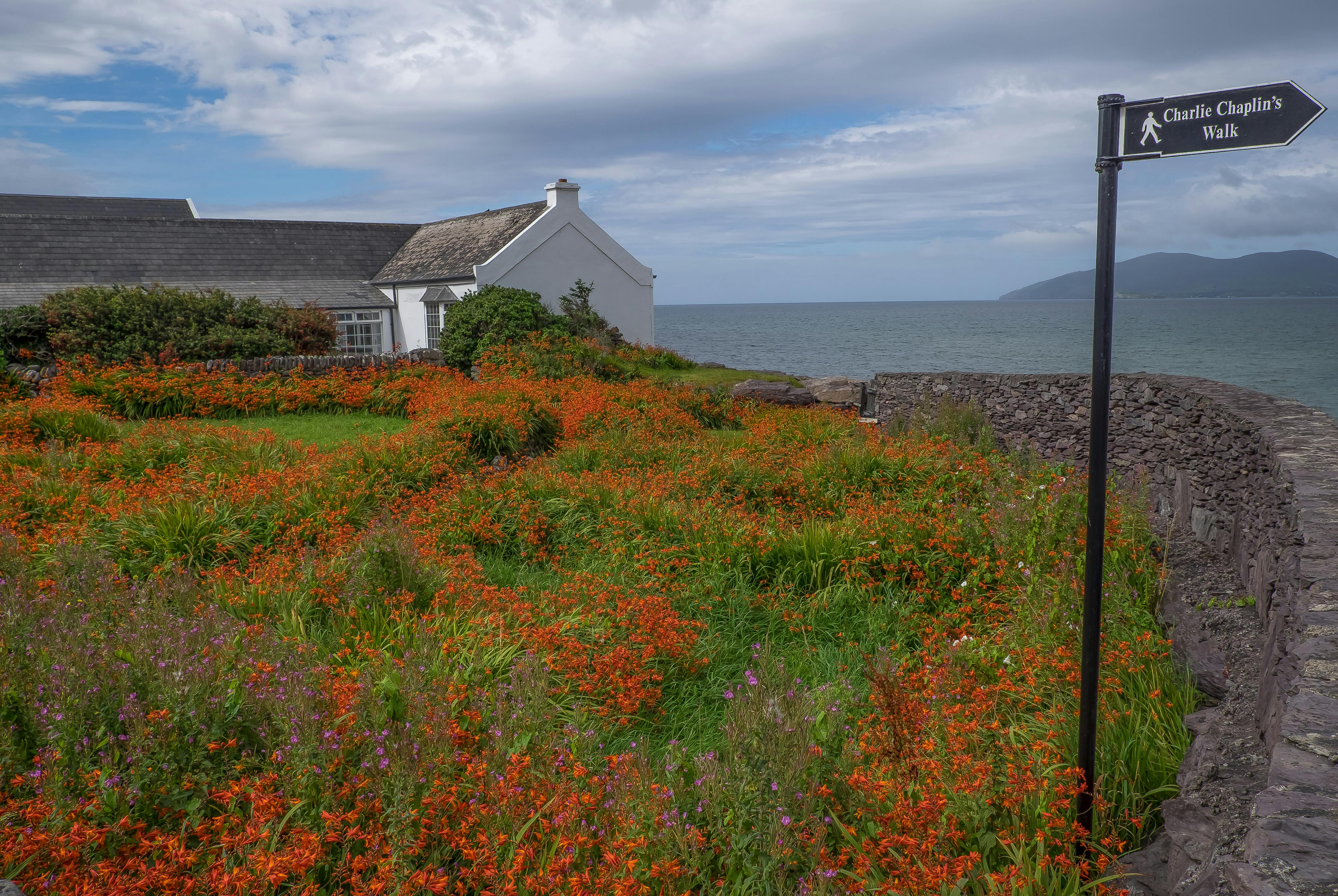 Ring of Kerry