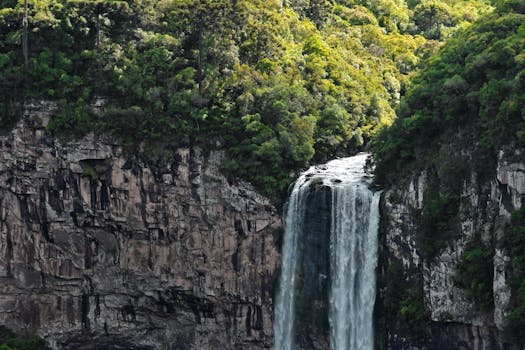 Rio Mutum Ecological Park