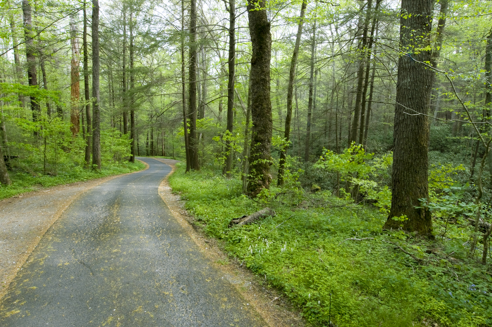 Roaring Fork Motor Nature Trail