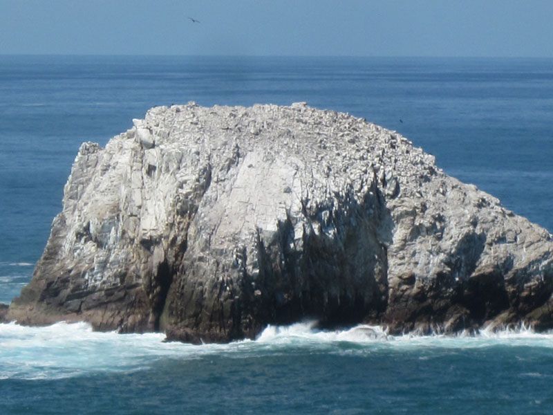 Roca Blanca